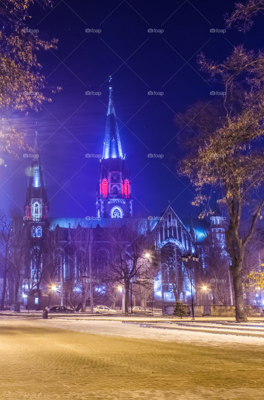 St. Olga and Elizabeth cathedral in Lviv city