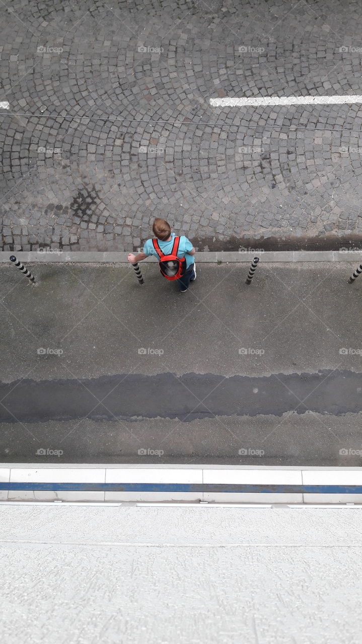 kitty transport during a sunny day