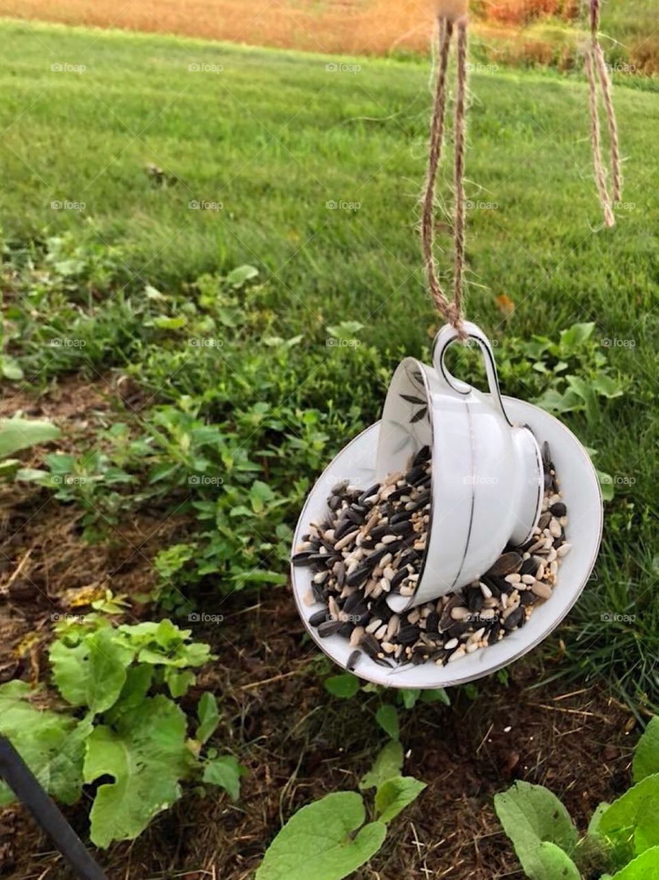 Vintage Tea cup repurposed bird feeder 