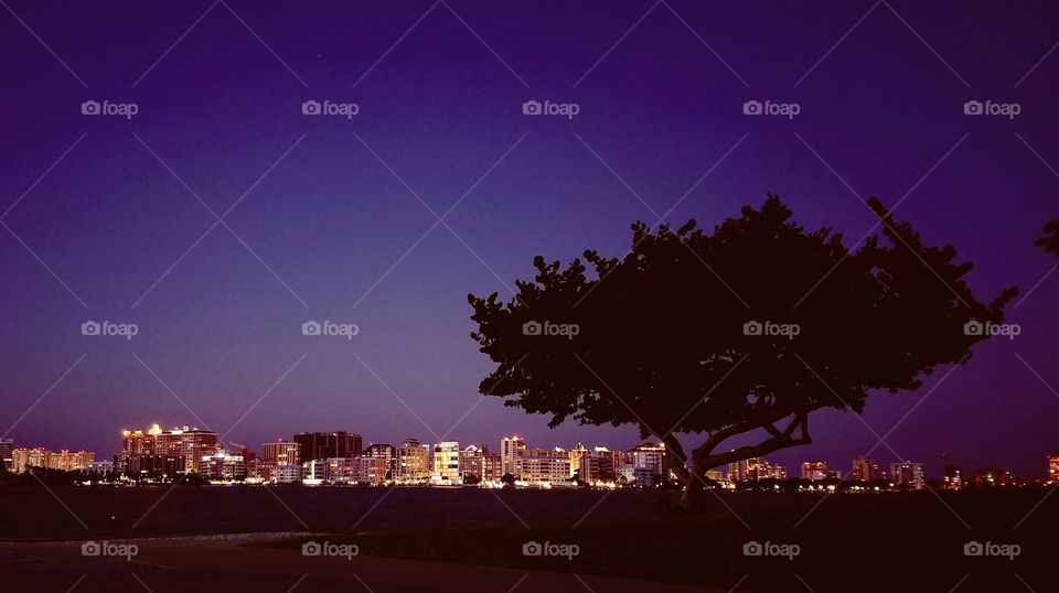 Tree of Life with the nighttime Sarasota,  Florida skyline in the background.