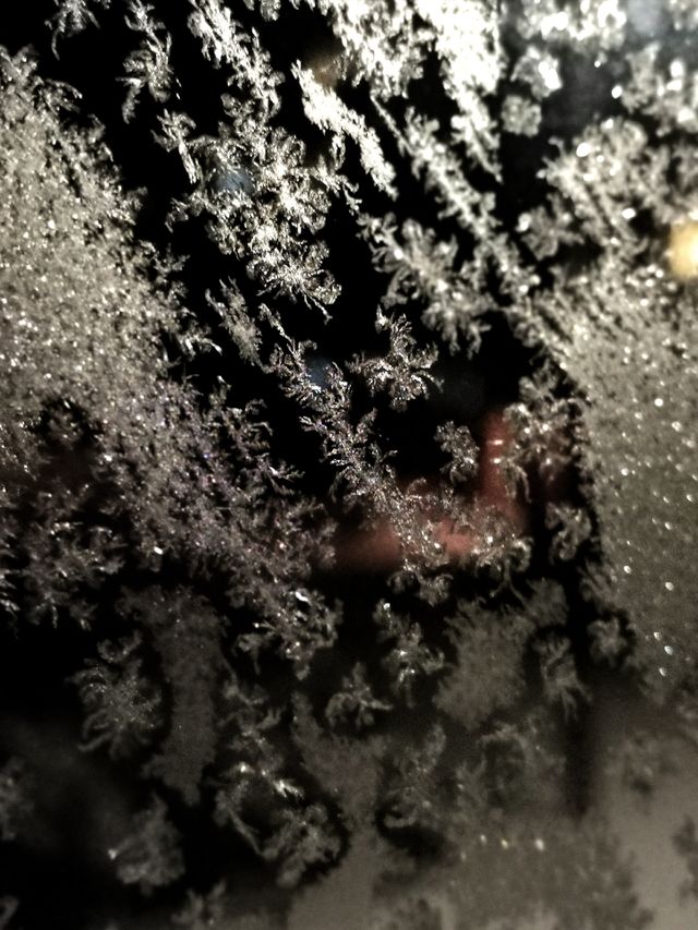 Nature winter