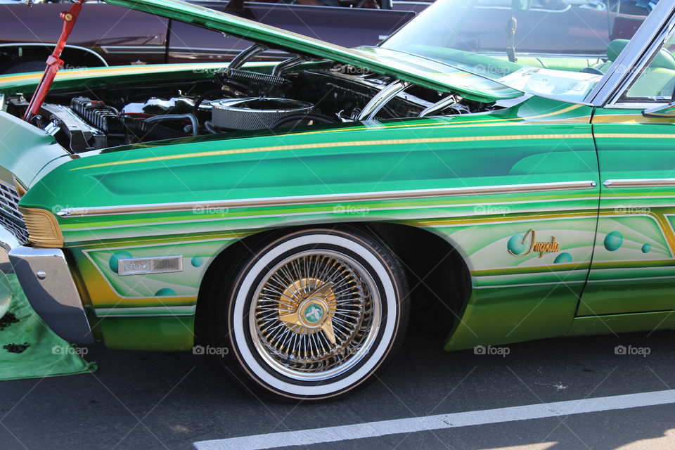green and gold classic