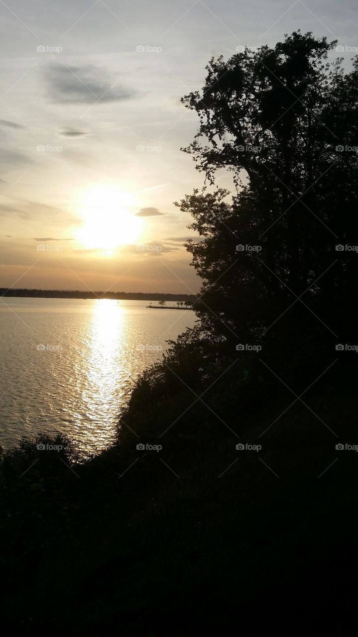 Brightness on the bay