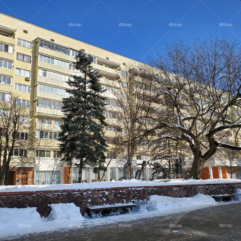 Blanketed in fresh snow, this serene winter scene captures the quiet beauty of nature in its most peaceful form. The snow-covered landscape, glistening under soft light, evokes a sense of calm and tranquility.