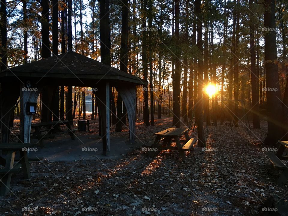 Sunset at Lake Benson Park
