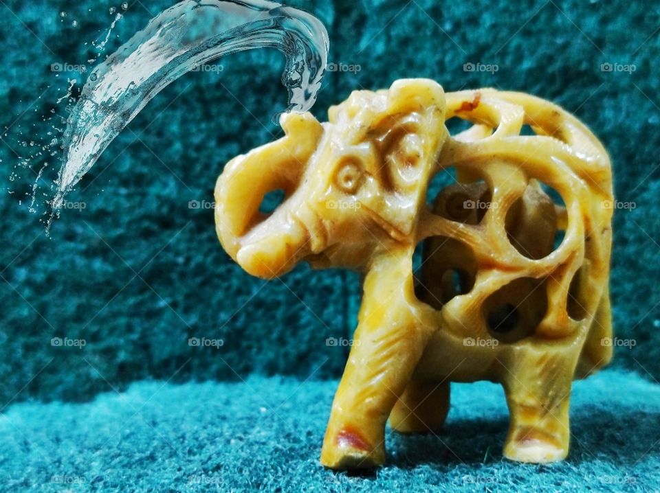 Elephant splashing some water💦 by its trunk