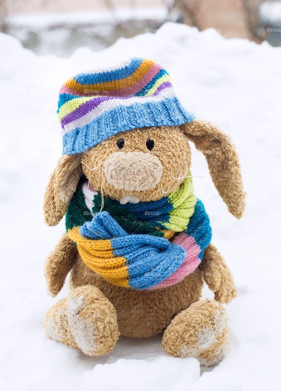 Teddy bear on snow covered field