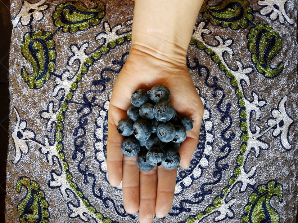 Holding blueberries