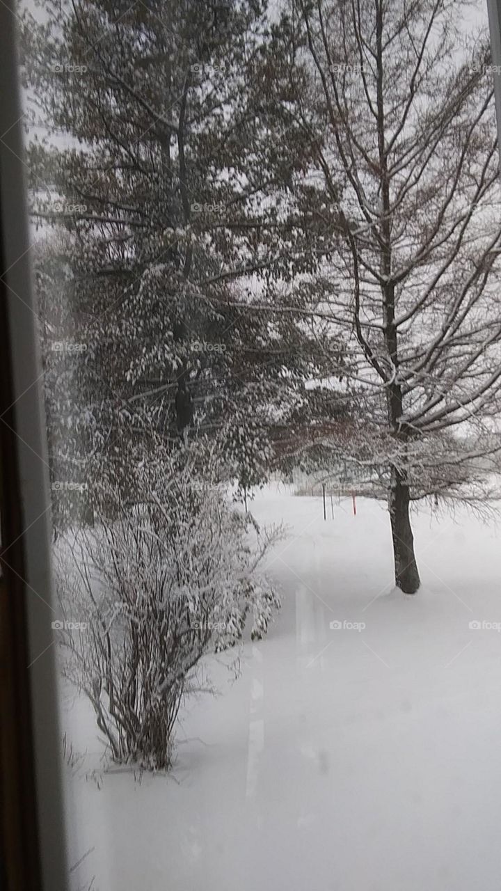 A travers la fenêtre