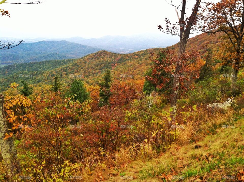 Virginia. Mountain view in Virginia