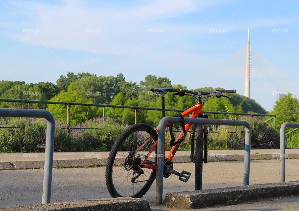 One lonely orange bicycle locked to a metal fence.  Greenery and bridge in the background