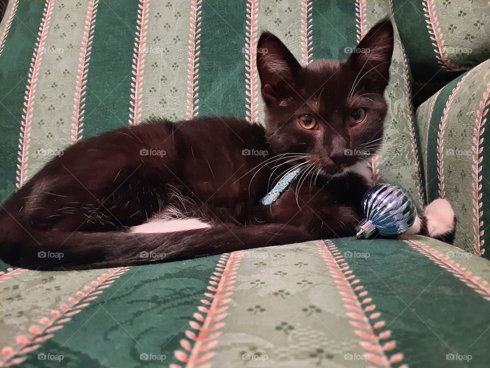 Magic with a Christmas bulb