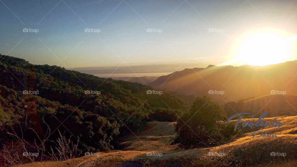 California hillside, Paso Robles
