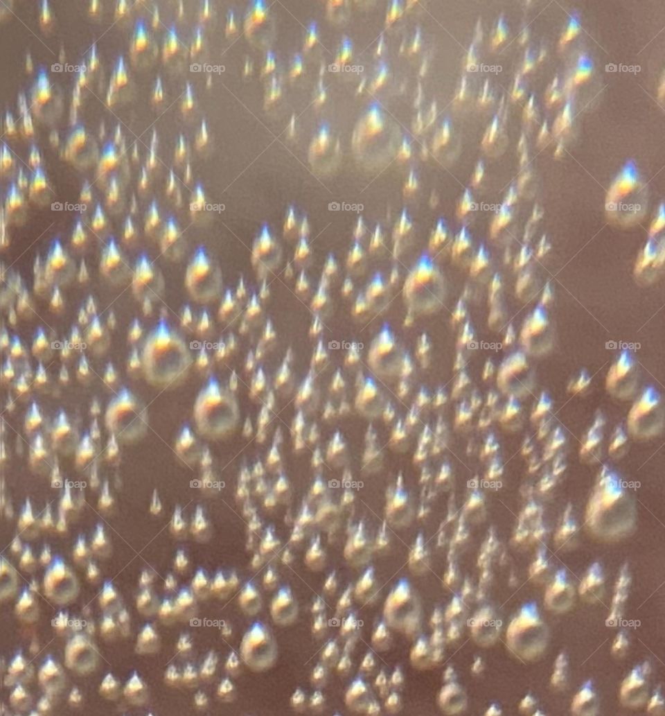 Bubbles rise in aerated water