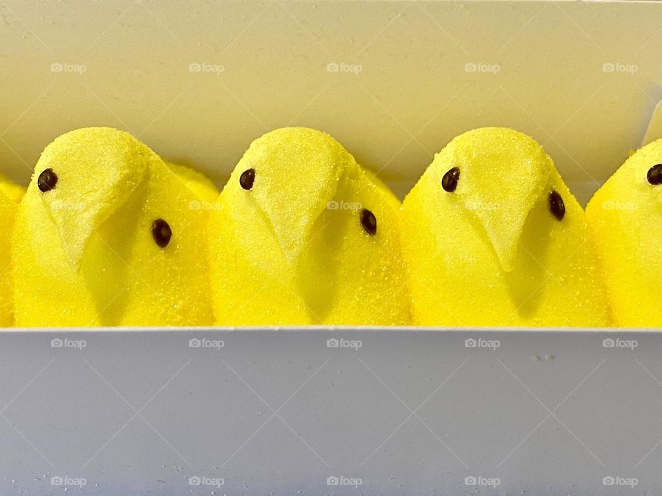 Three marshmallow peeps