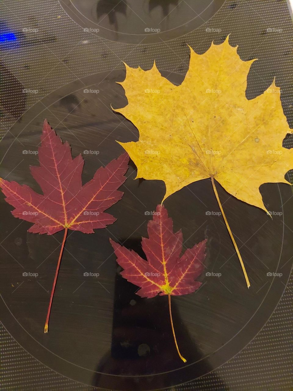 leafs of change. To be a new person