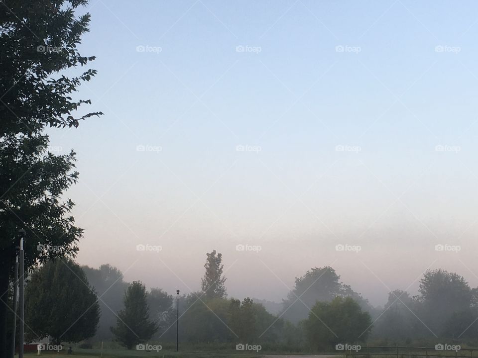 Foggy Oklahoma Morning