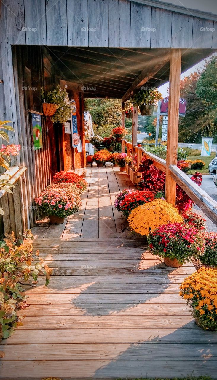 Exeter New Hampshire