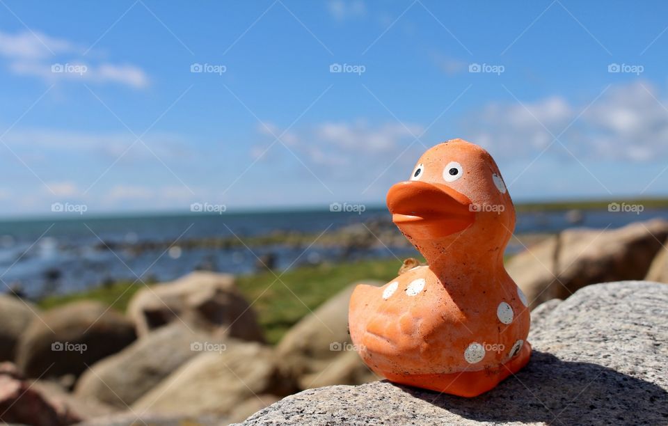 Rubberduck by the ocean.