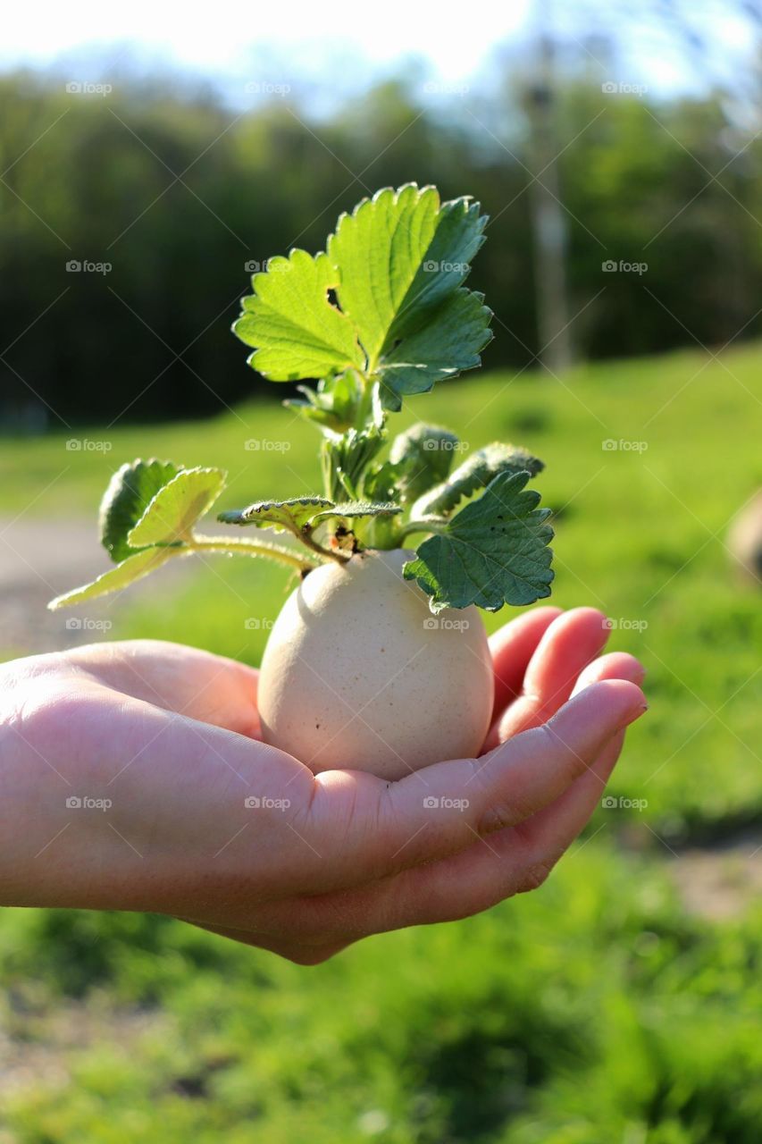 Plant Plants to Celebrate Earth Day