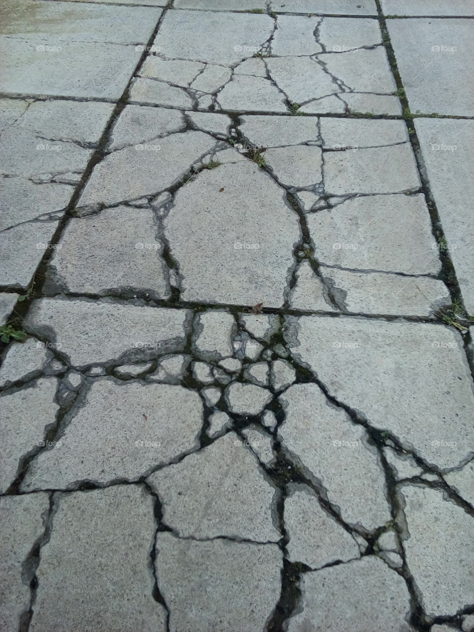 Cracked Stones Texture