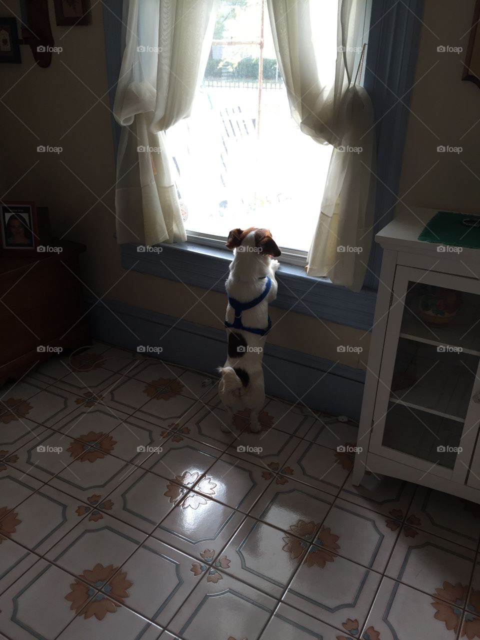 Waiting for grandma. 