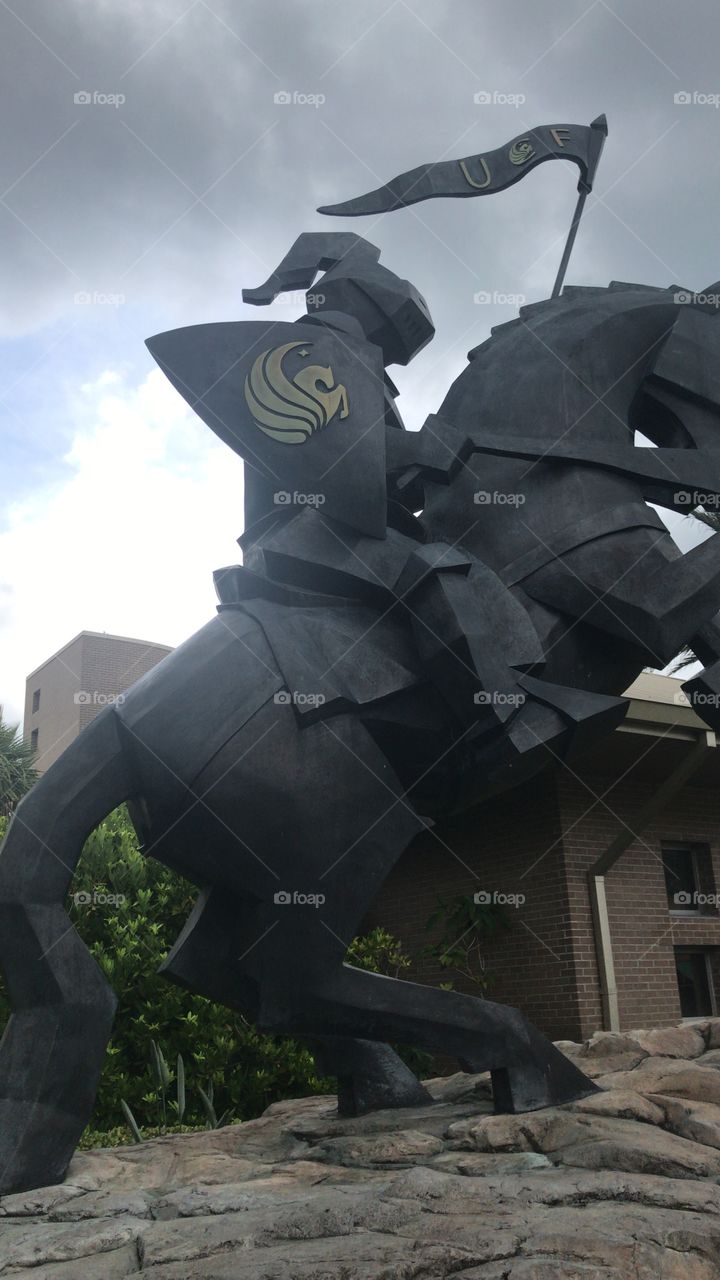 UCF Knights 