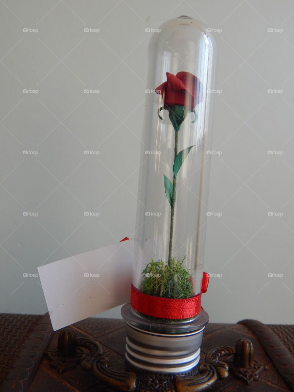 The Red Rose. Cause The Little Prince, the beauty and the beast, all then has a Rose