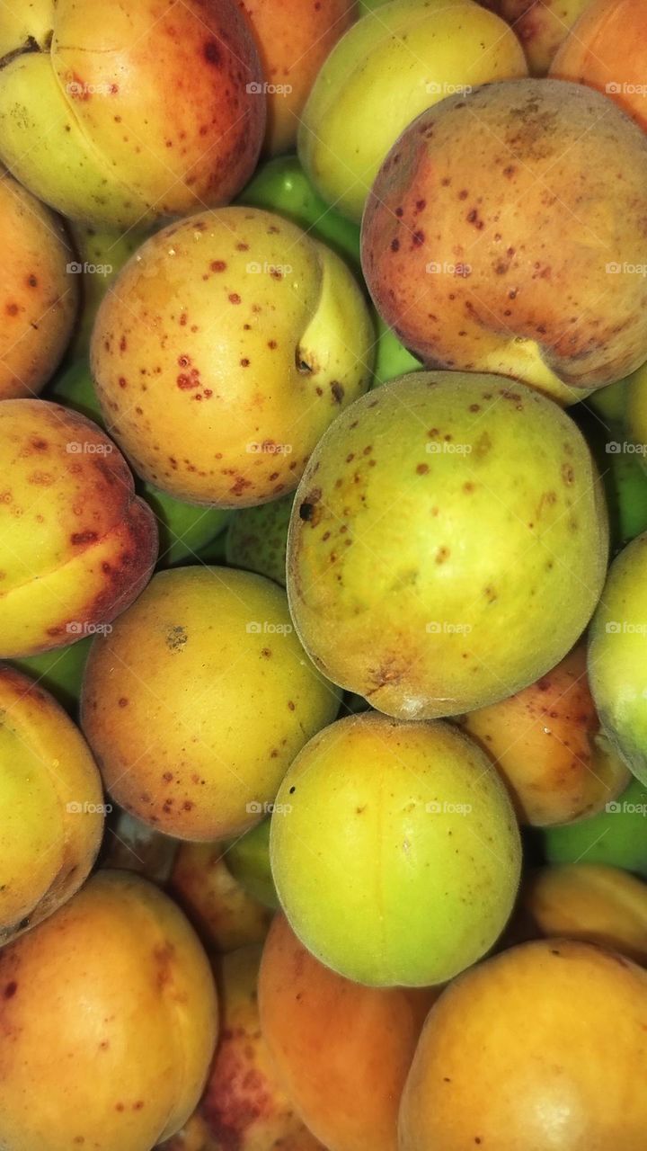 Macro photo of a yellow apricot in the garden