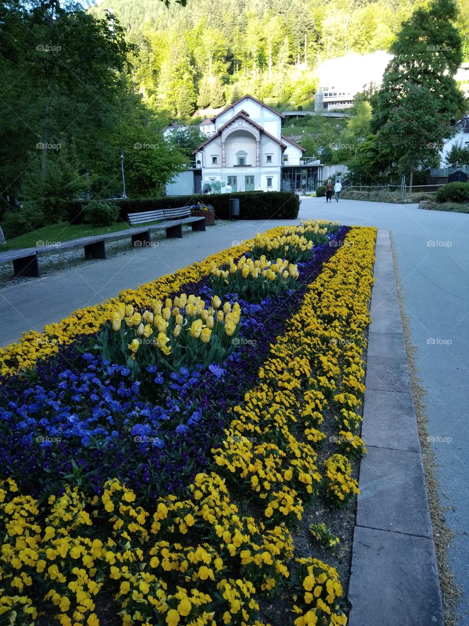 Kurpark in Bad Wildbad