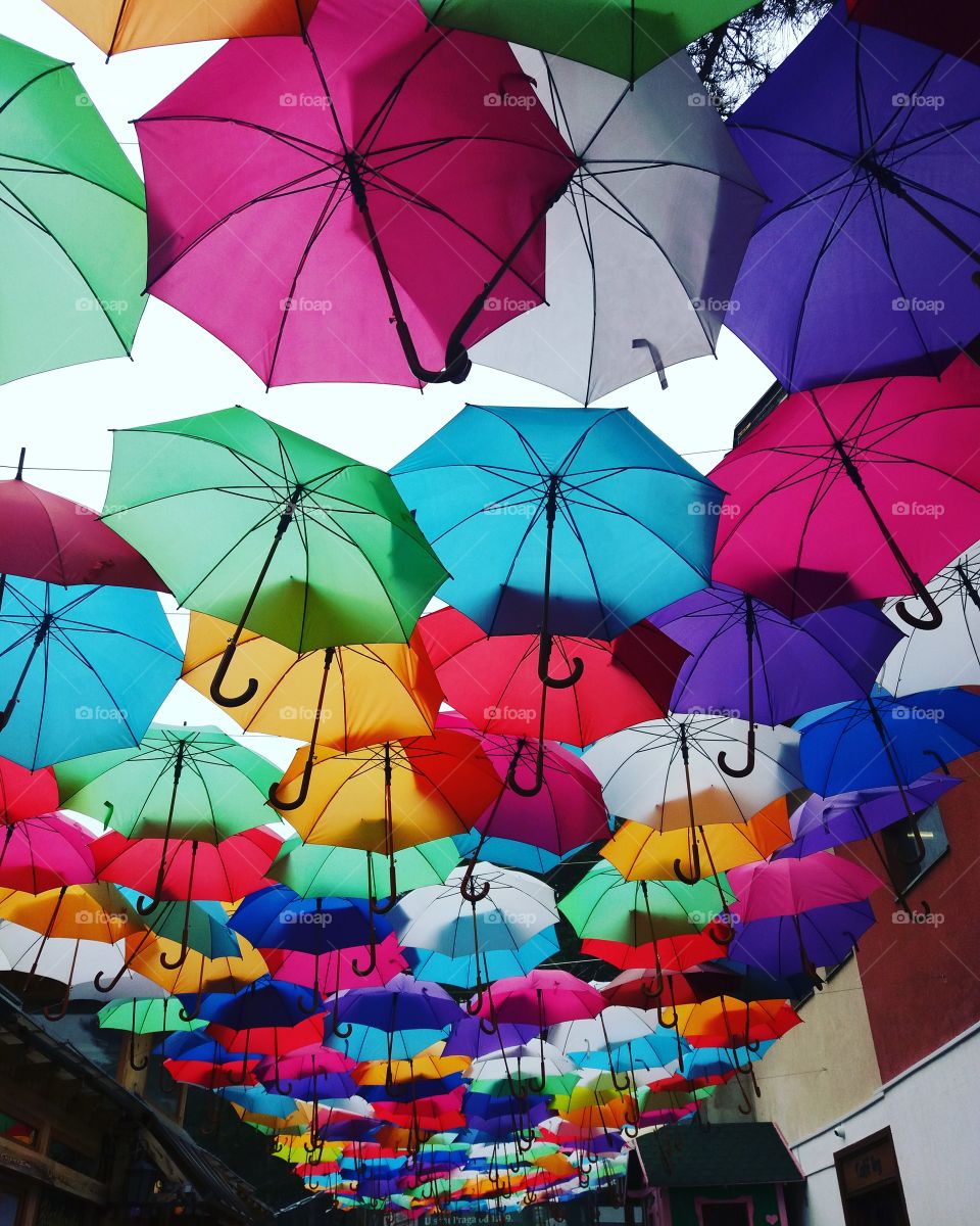Street in the city decorated with colorful umbrellas