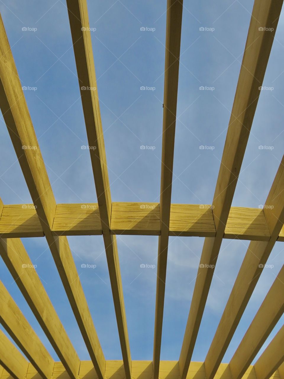 Yellow Trellis - Pt. 2