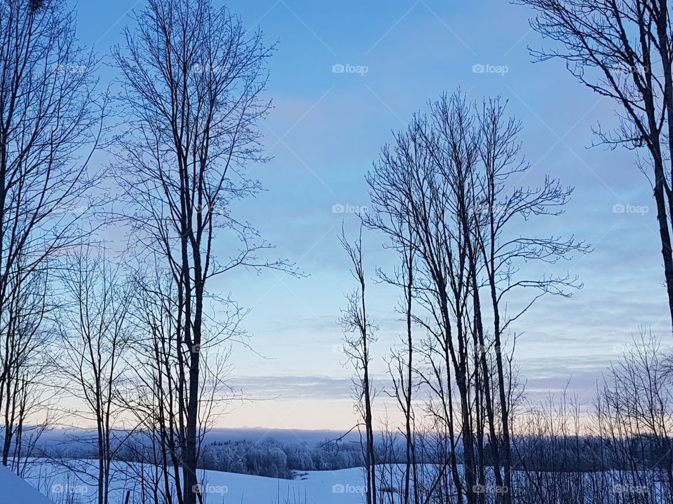 Winter evening in Latvia
