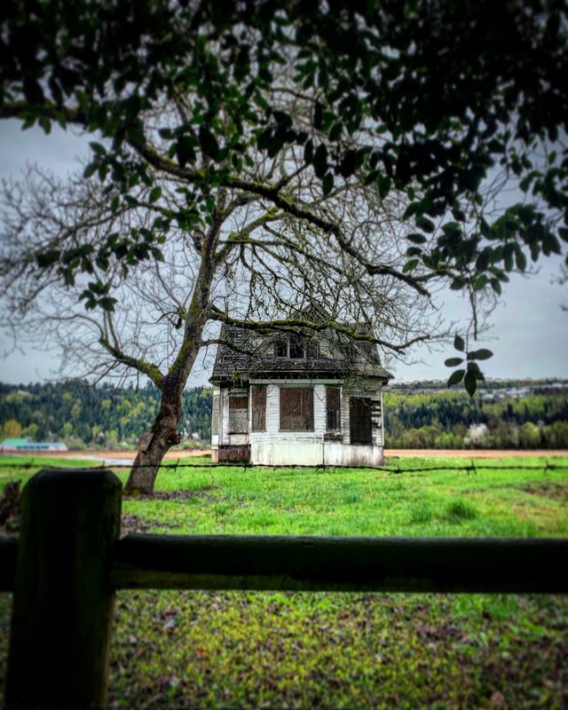 So much character in this abandoned house