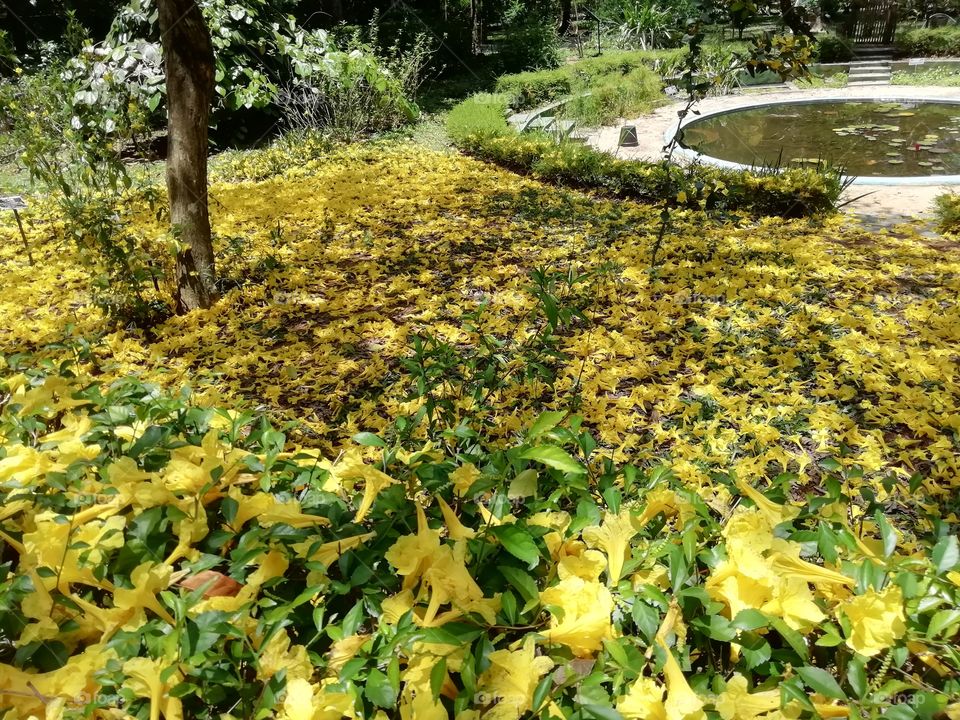 Random clicks #  beautiful messiness