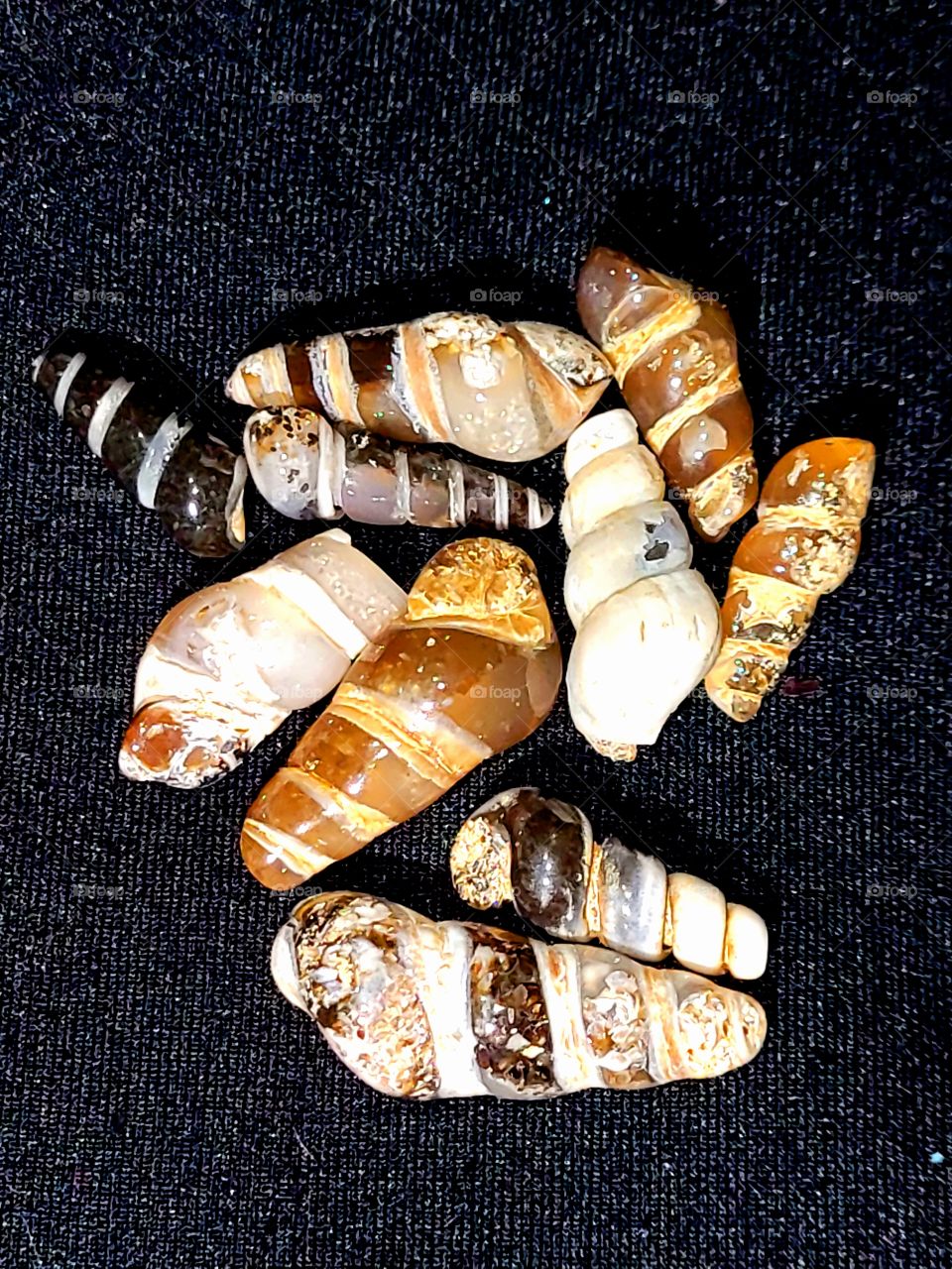 Sally didn't sell these