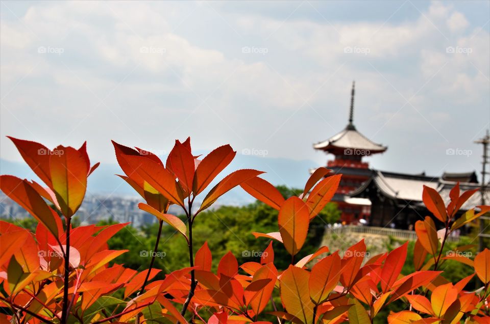 Japanese temple in Kyoto