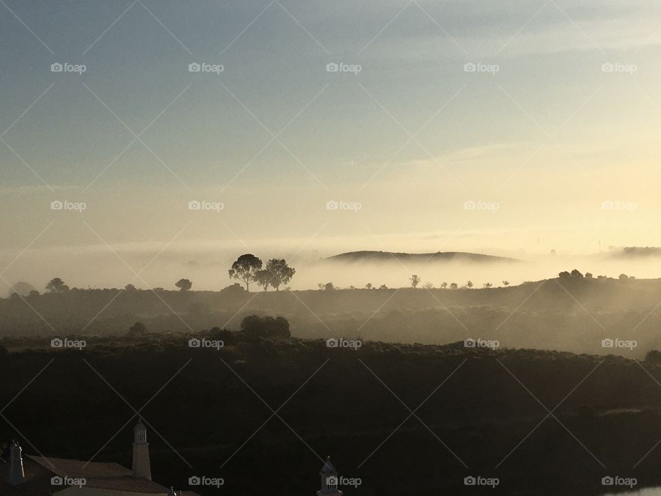 Morning mystery with mist