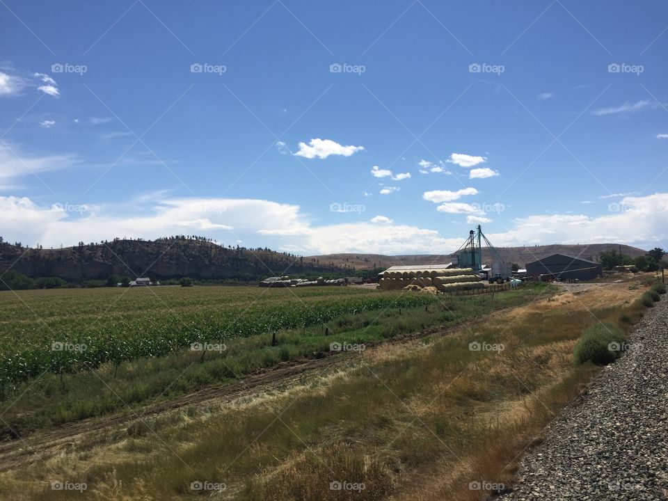 No Person, Landscape, Agriculture, Cropland, Travel