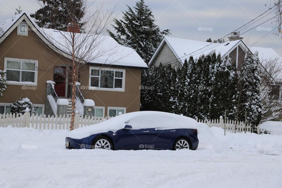 Under the snow