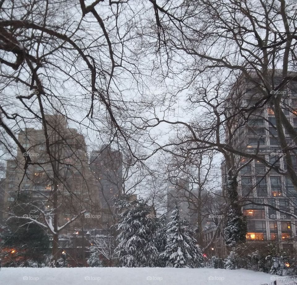 Winter Scene East Side Park