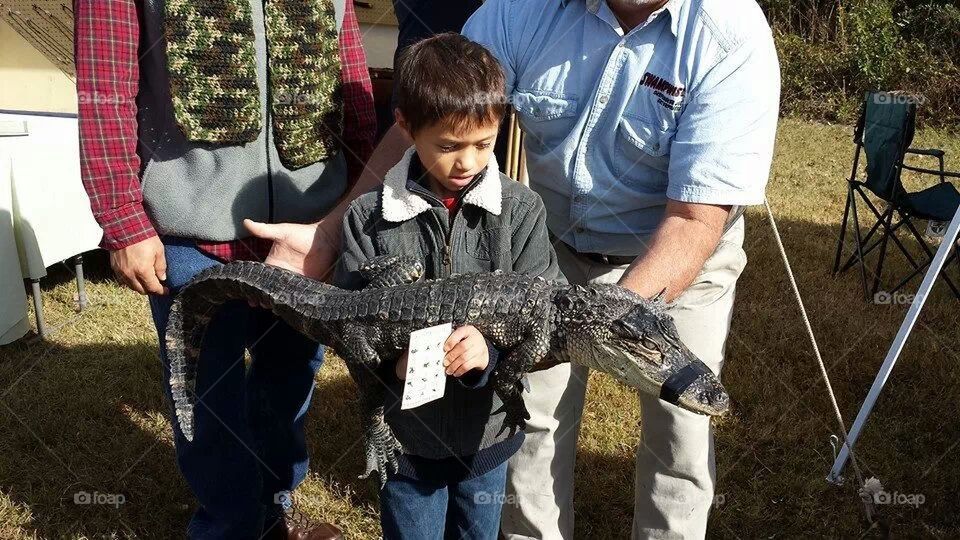 The Boy and the Gator