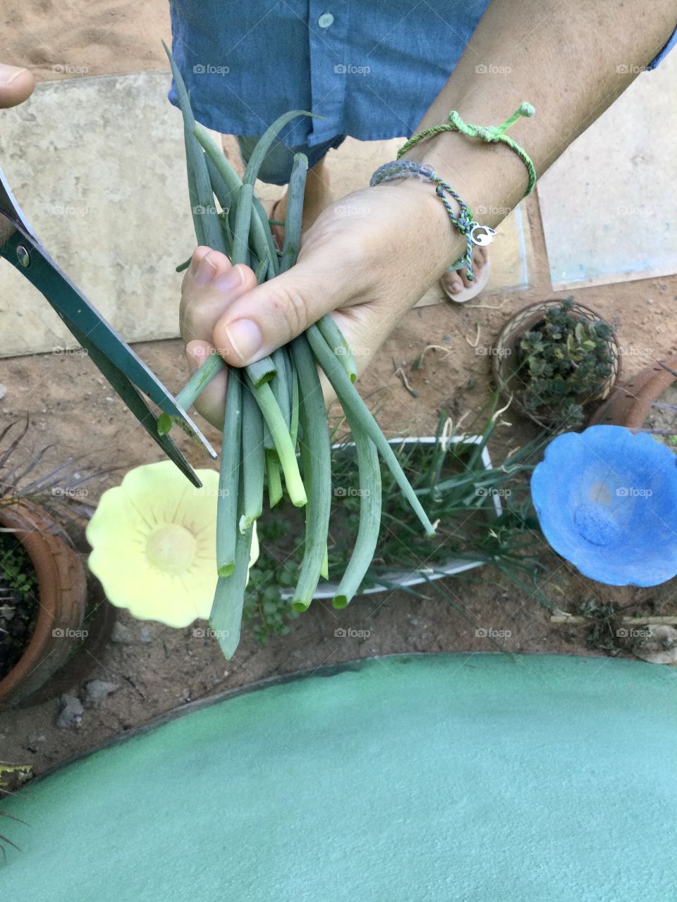 Cutting organic vegetables 