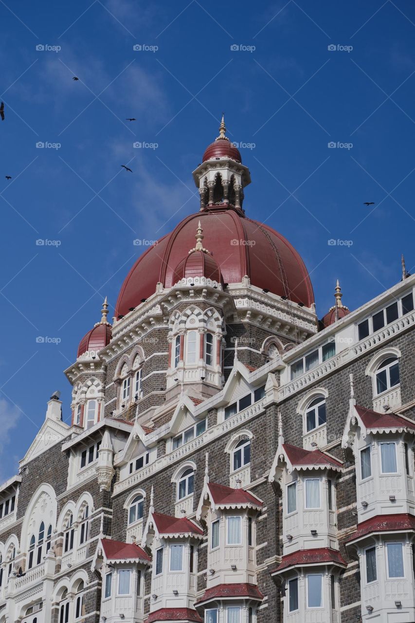 The great taj hotel of mumbai, best hotel in mumbai with top level hospitality!