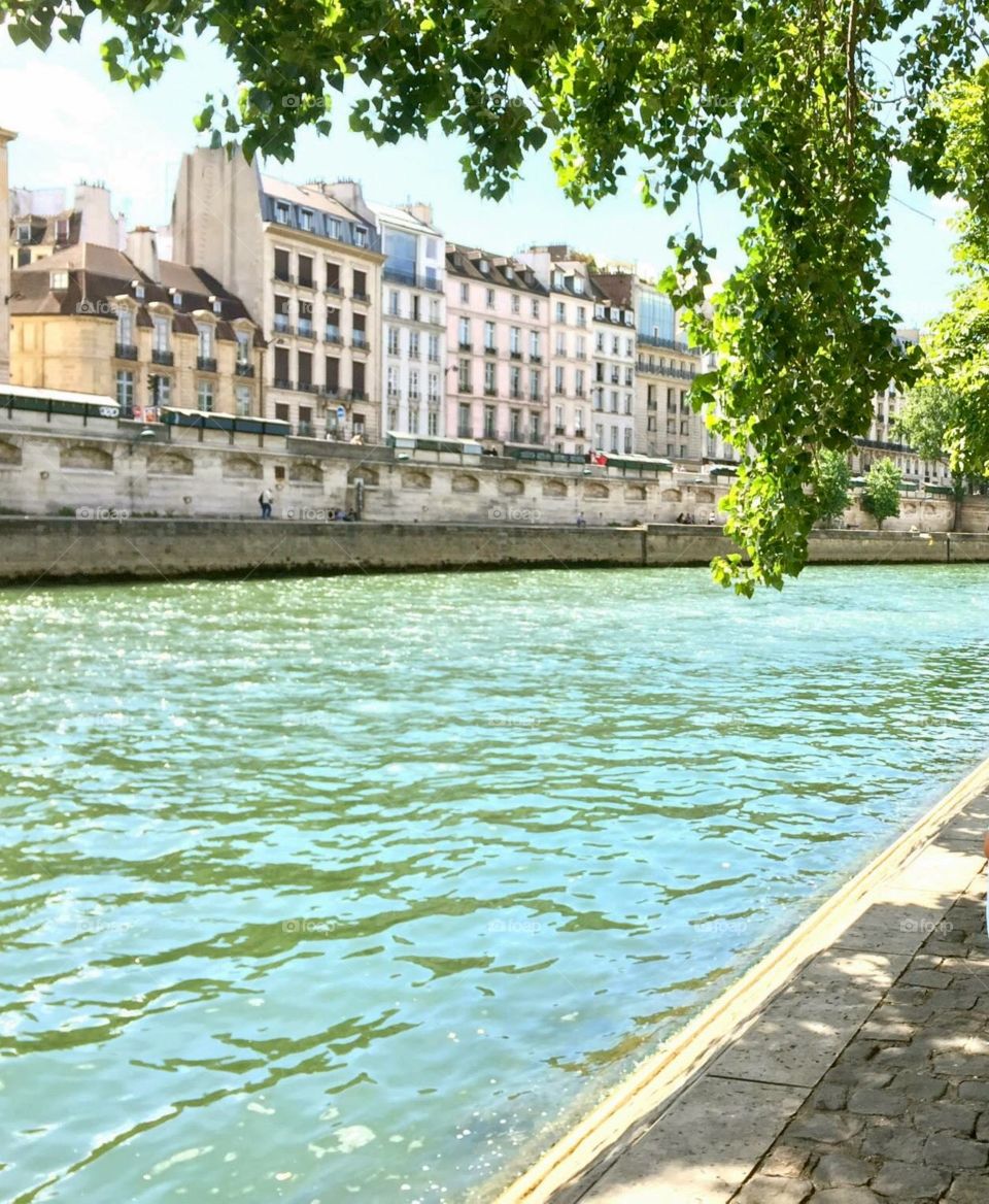 The Seine River 