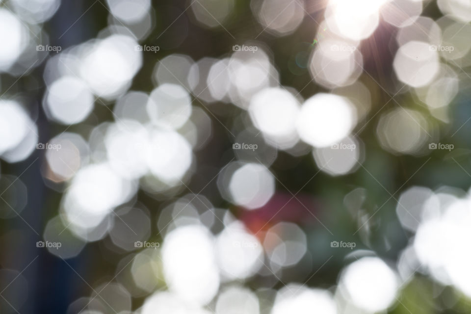 Blur bokeh Background  