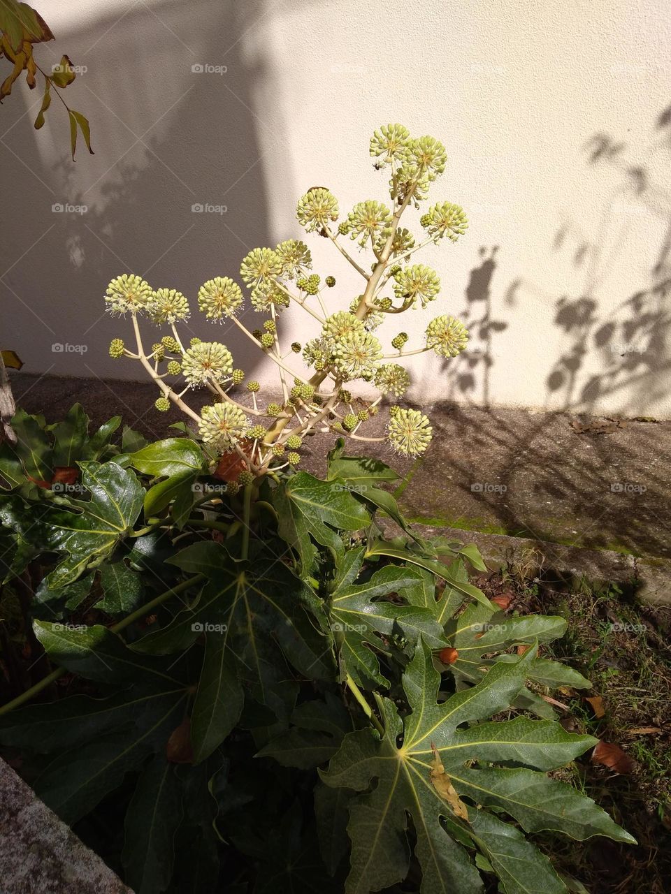 Best of 2021: Nature