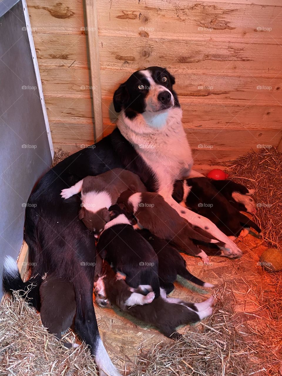 Proud mum 