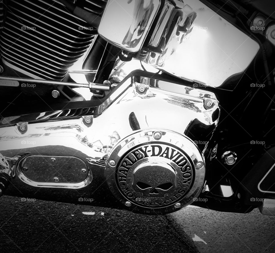 View of the Harley logo.