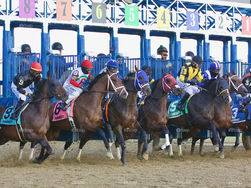 The Remsen Stakes by Fleetphoto